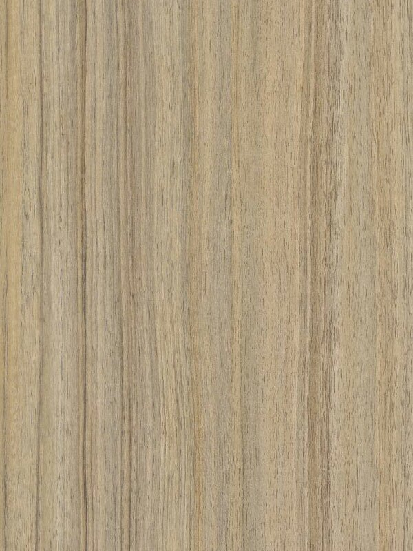 Iranian walnut